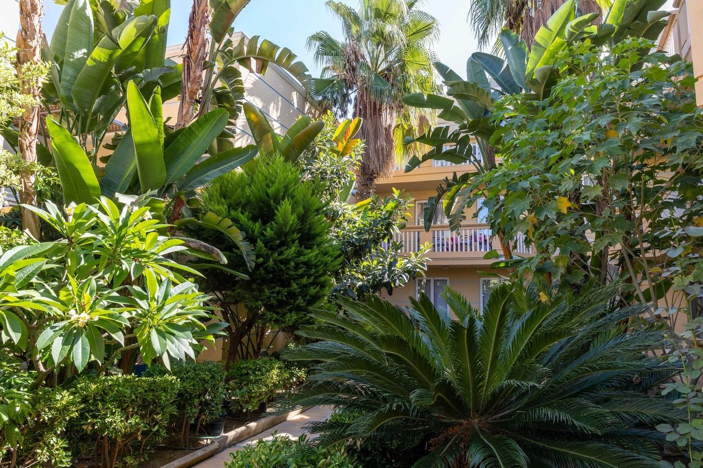 Futura-General-view-22