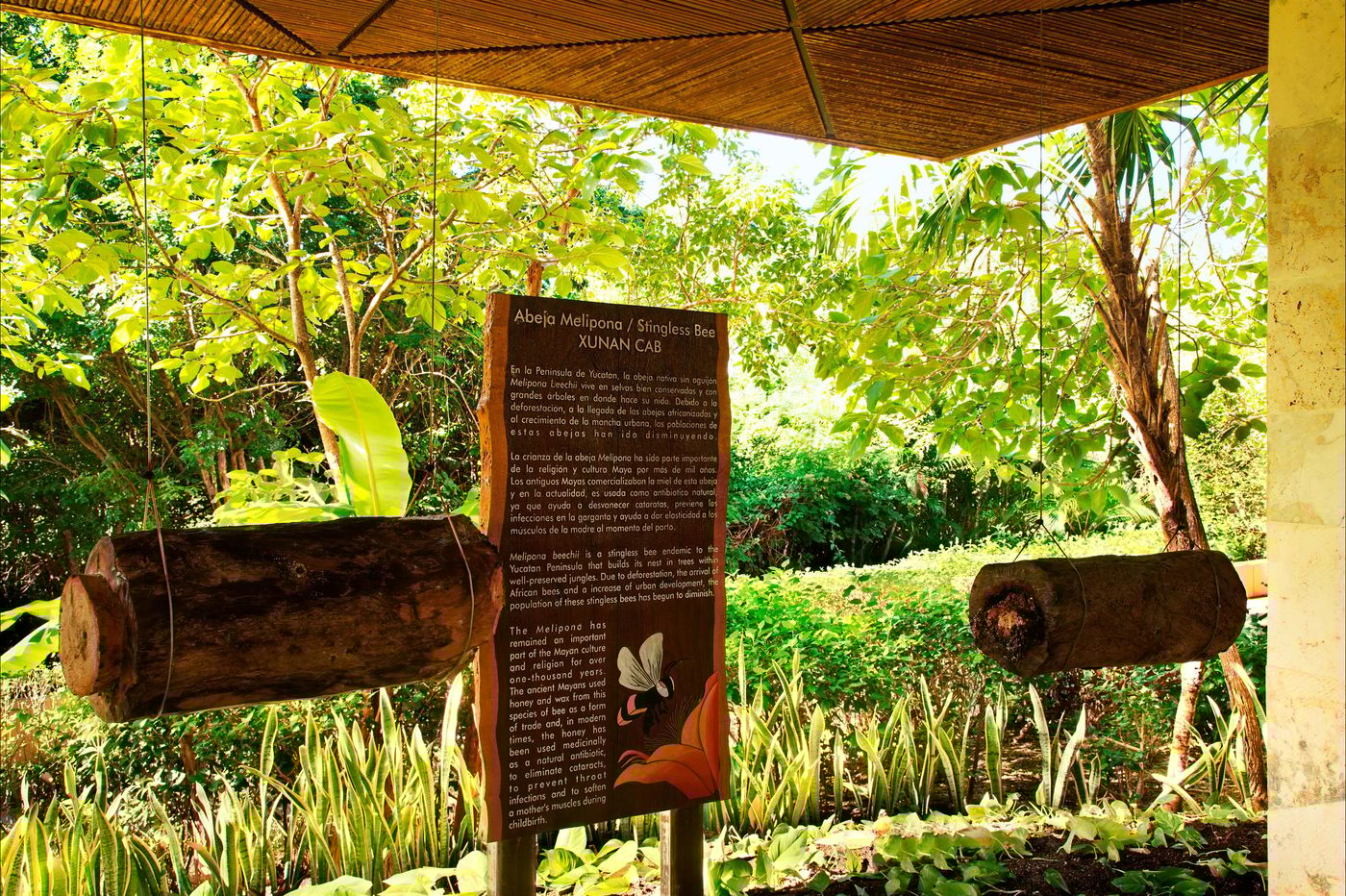 Fairmont-Mayakoba-Sports-and-Entertainment-21