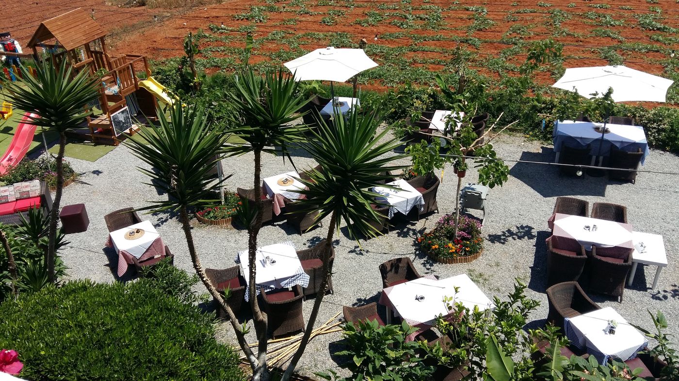 Malia-Studios-Apartments-Restaurant-17