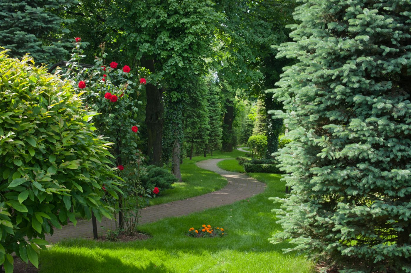 Booking-Hotel-Crown-Piast---Spa-Terrace-39