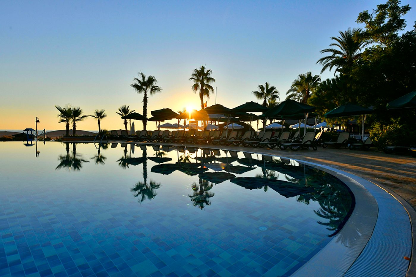 Gypsophila Club Marine