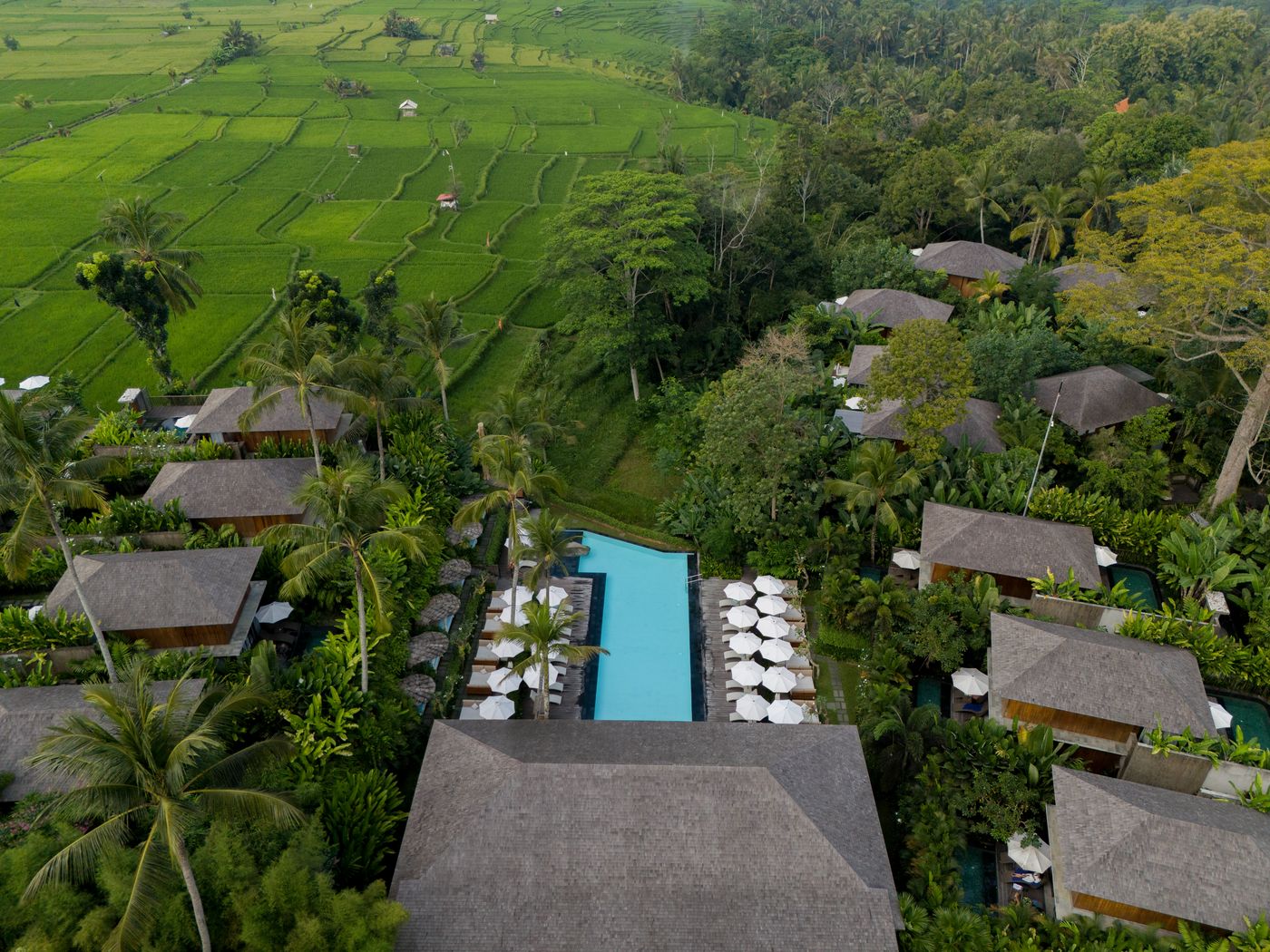Kappa Senses Ubud-Indonesia-Bali-General view-5