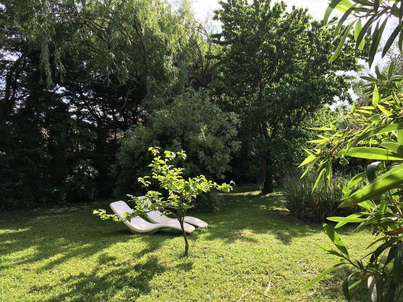 Mas Armelin-France-TARASCON-General view-5