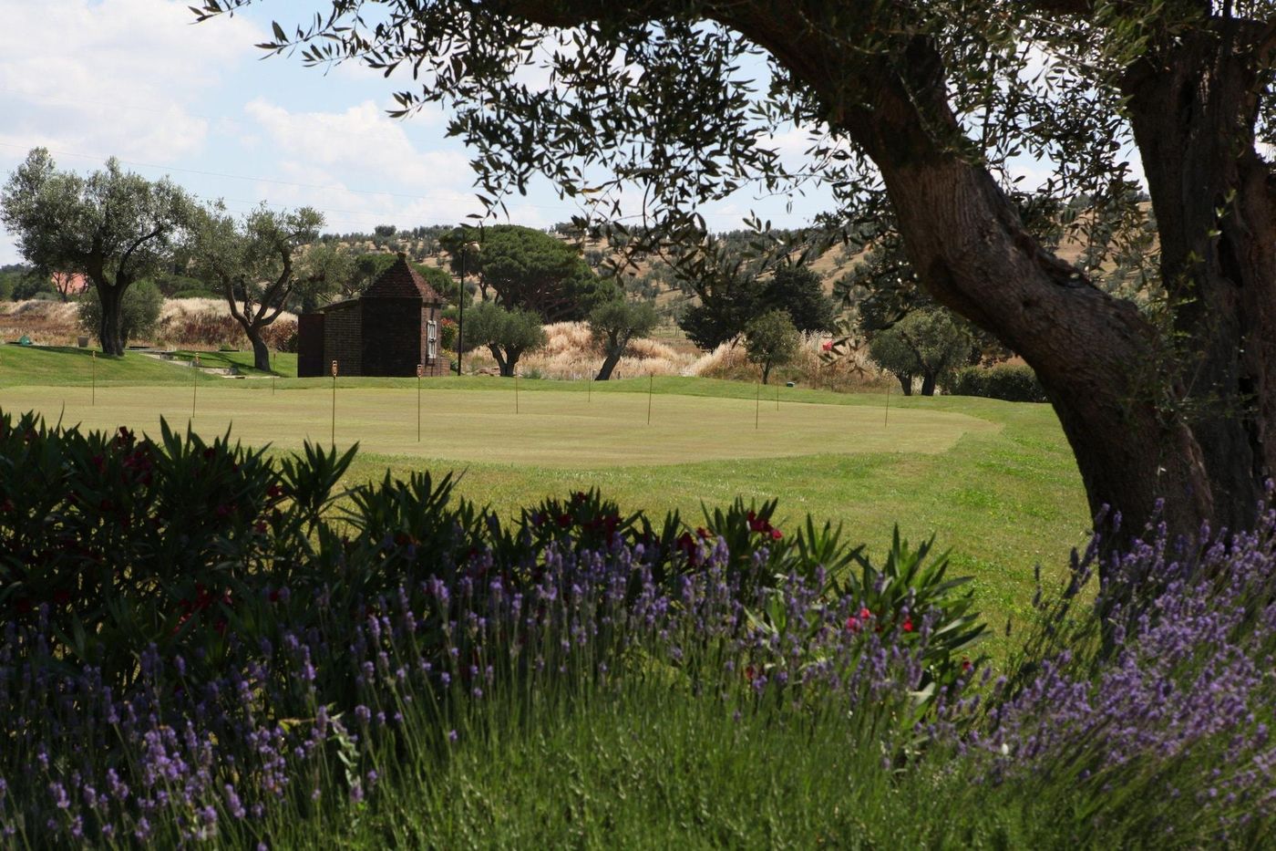 Andana-Sports-and-Entertainment-45