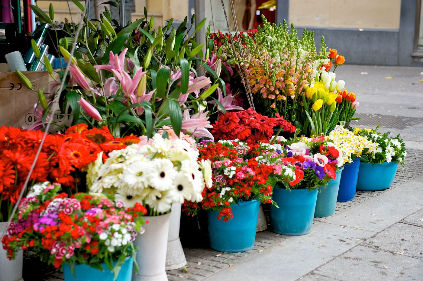 Mercure-Palermo-Centro-Sports-and-Entertainment-20