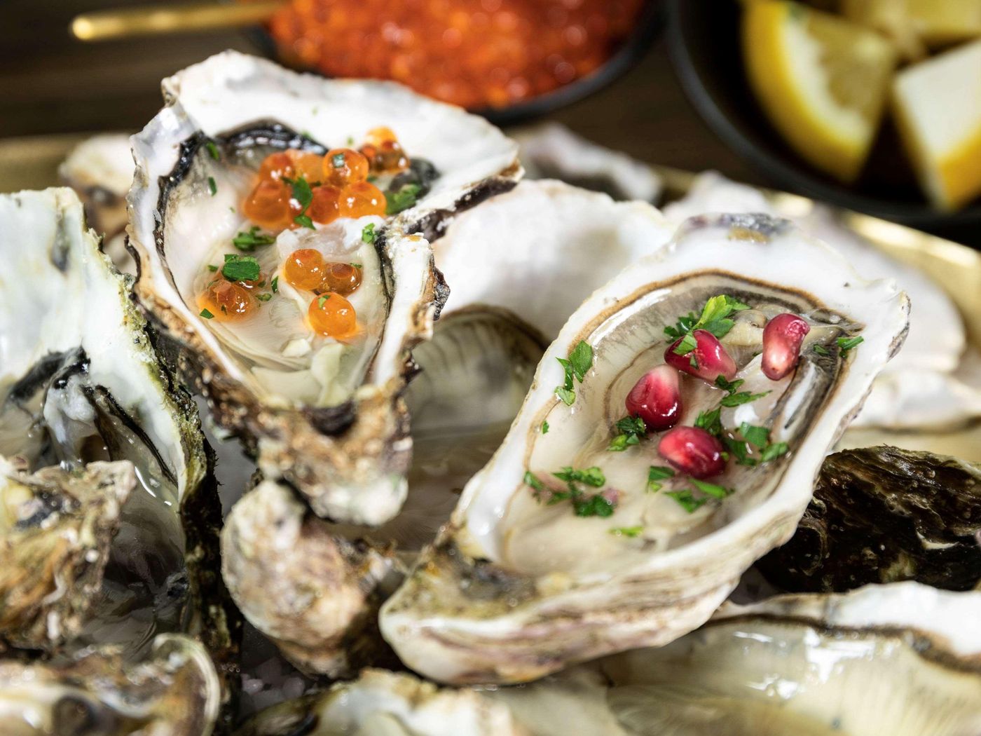 ibis Sete Balaruc les Bains - France - BALARUC LES BAINS - Restaurant - 3