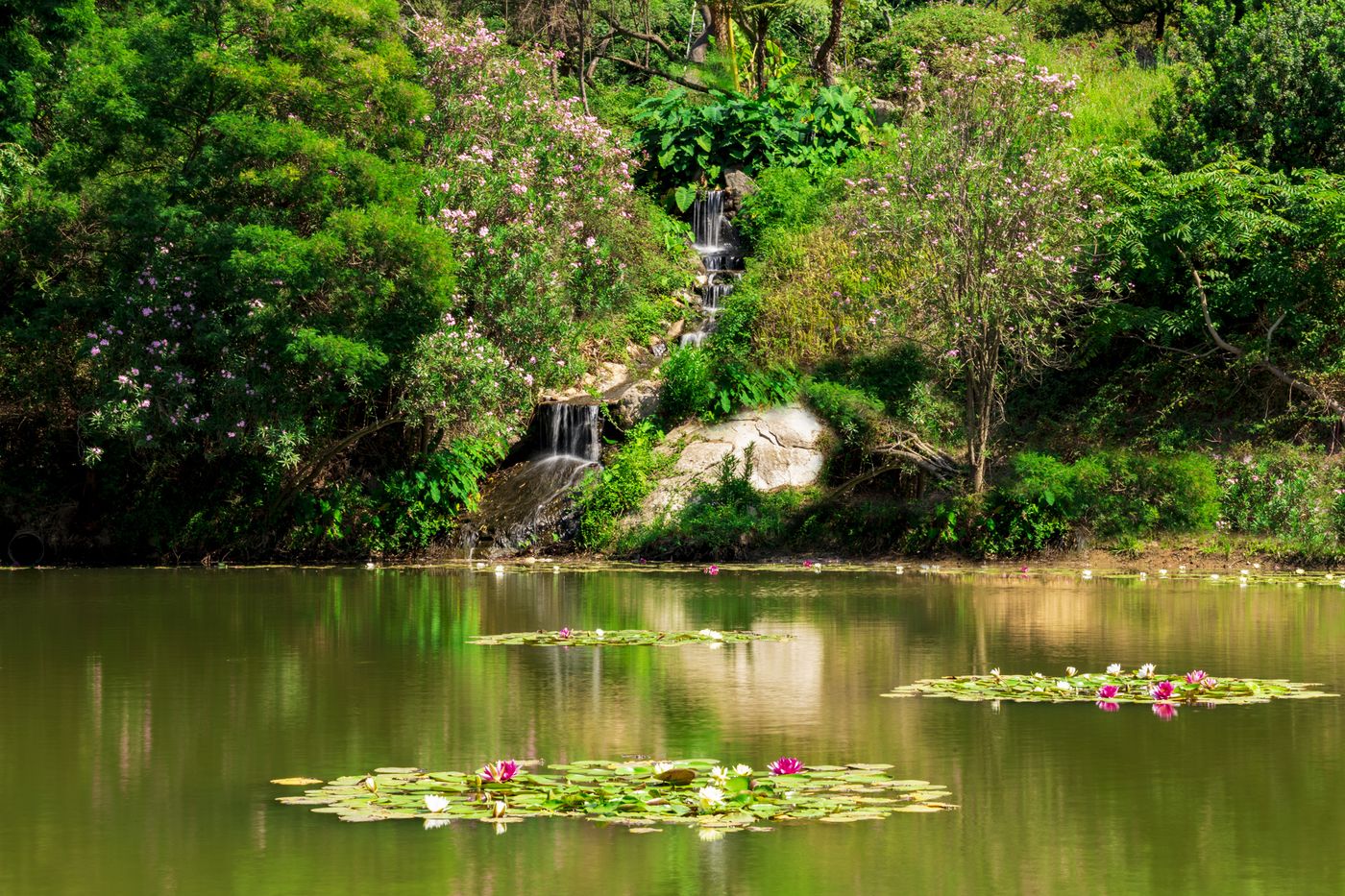 Hotel-Monte-Turri---Adults-only-General-view-6