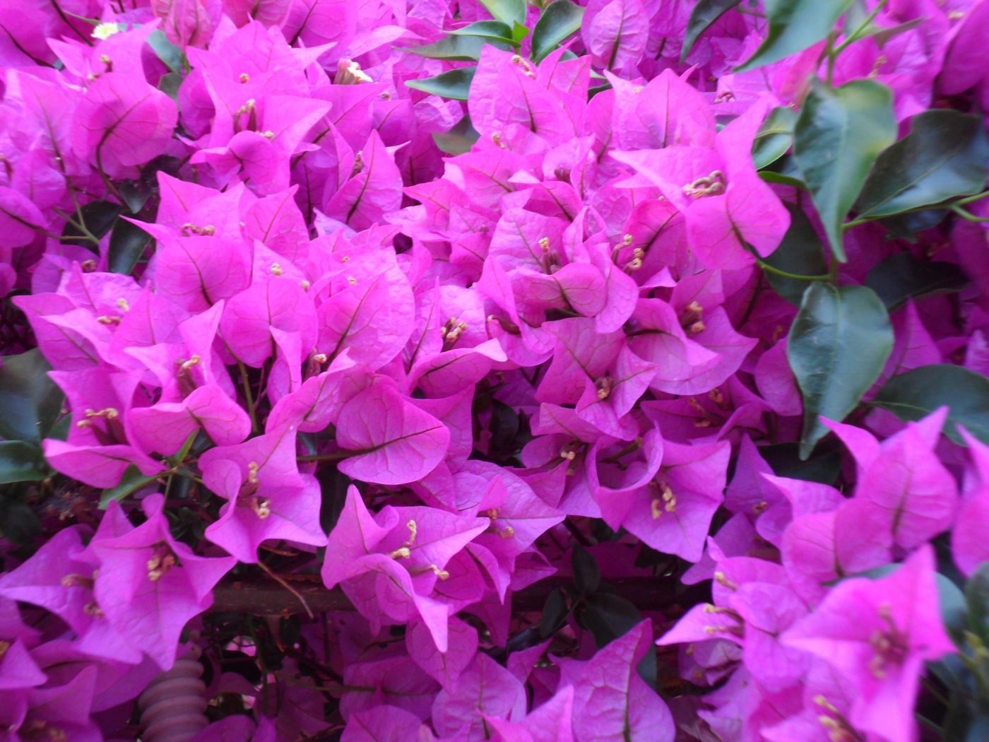 Marilena-Apartmets---Studios-General-view-26