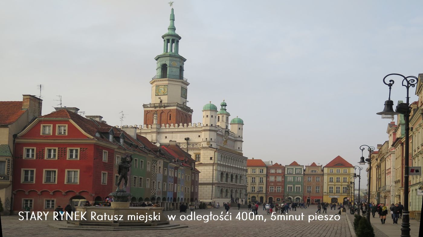 Apartamenty Homely Place Parking-Poland-POZNAN-Sports and Entertainment-8