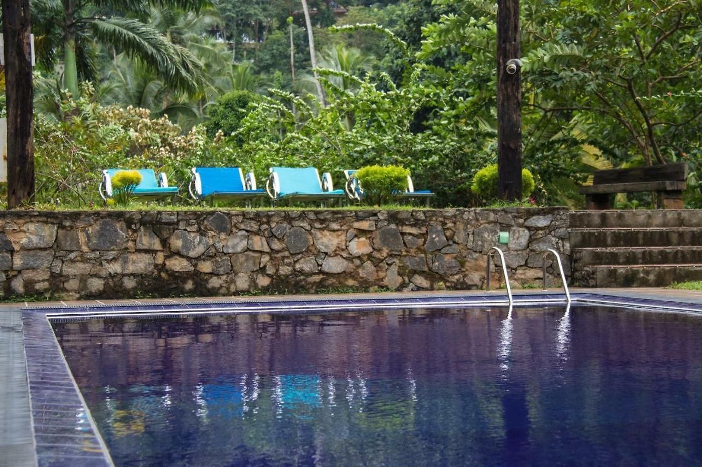 Sweet-Cinnamon-General-view-4