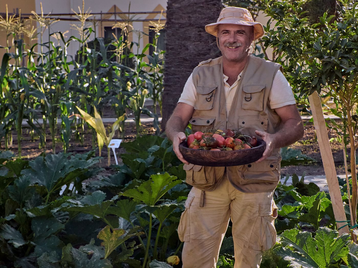 Grecotel-Casa-Paradiso-General-view-24