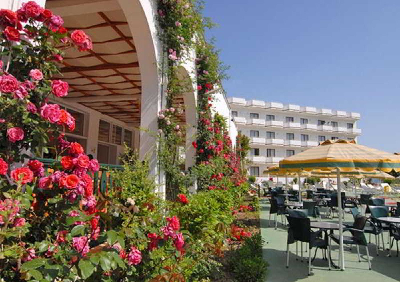 Irene-Palace-Terrace-19