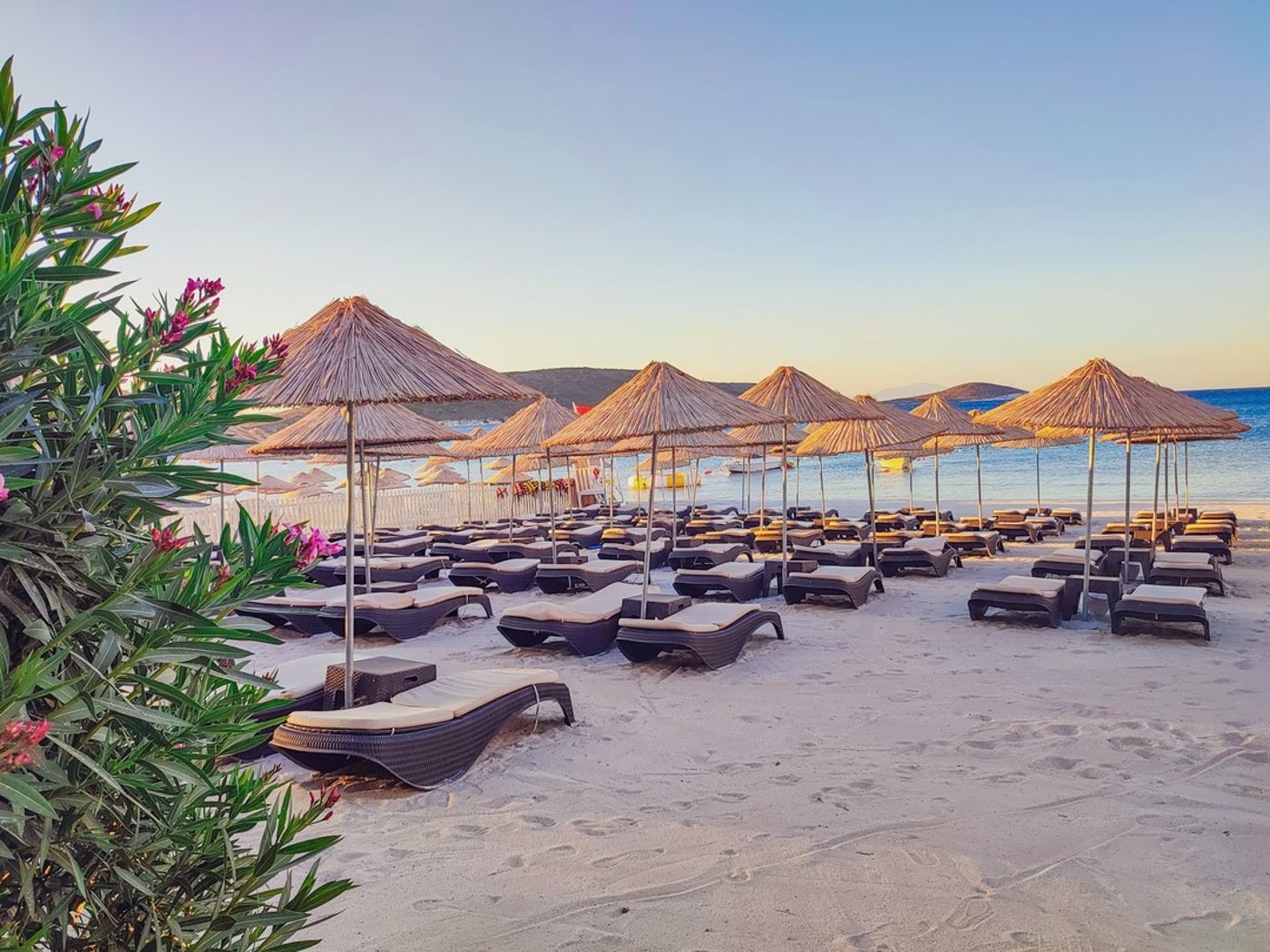 Design Plus Seya Beach