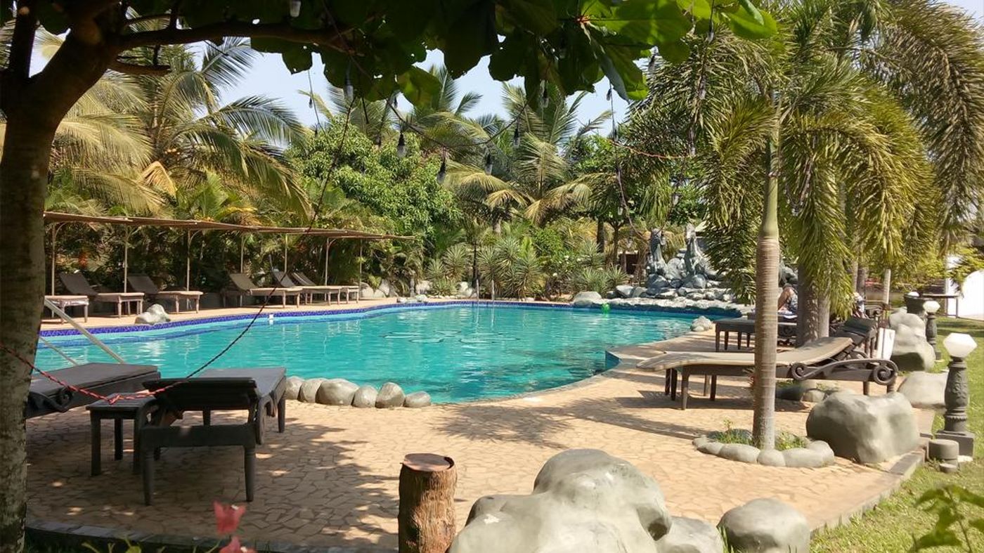 Primo Bom Terra Verde