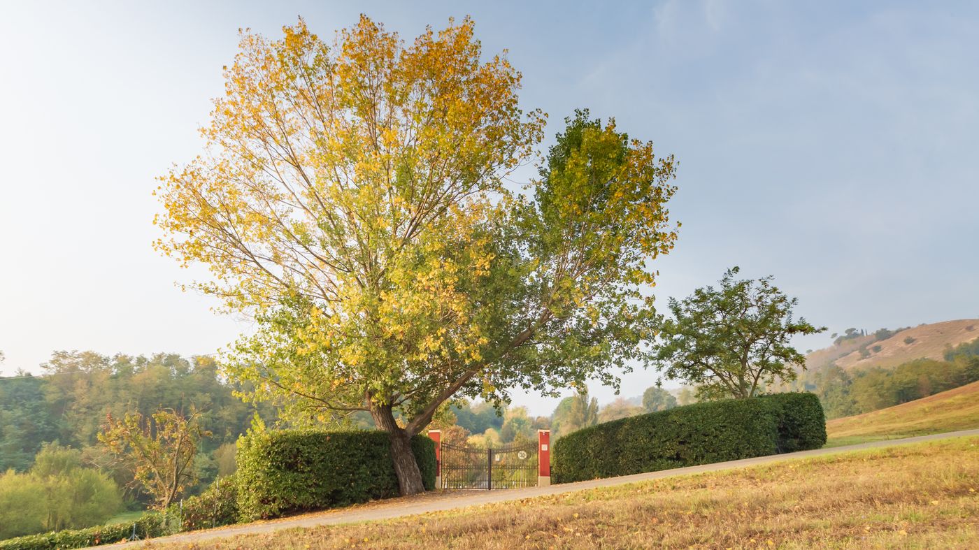 Ca' Palazzo Malvasia- BolognaRooms - Italy - SASSO MARCONI - General view - 8