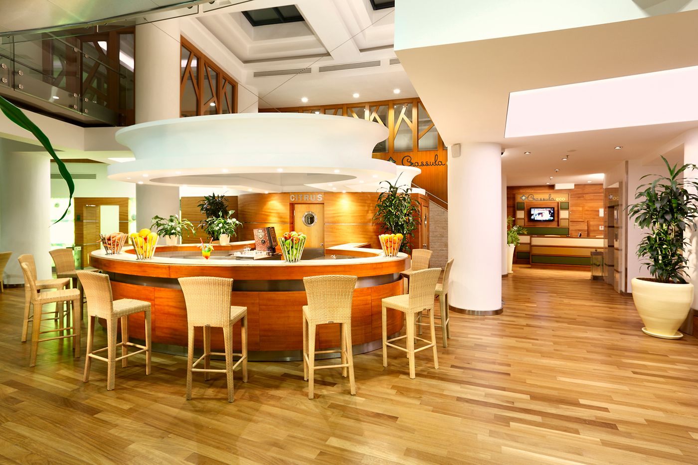 Paloma-Sensia-Bar-39