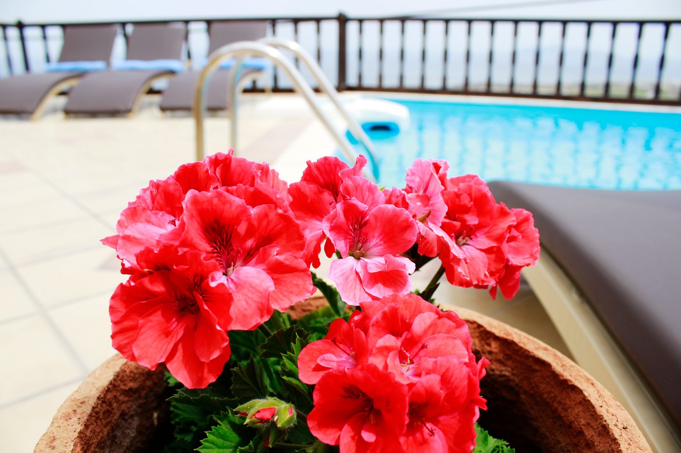 Amerisa-Suites-Pool-1