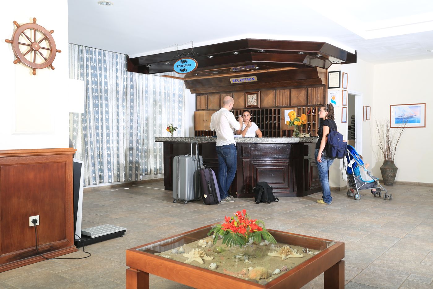 Pantelia - Jacaranda