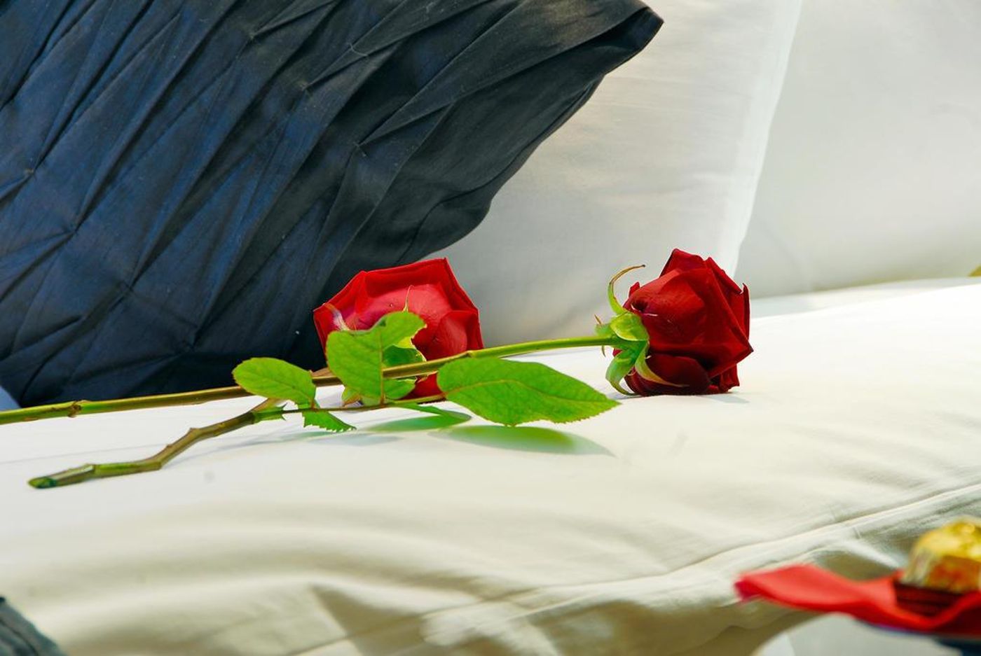 Park Grand London Hyde Park - United Kingdom - LONDON - General view - 9