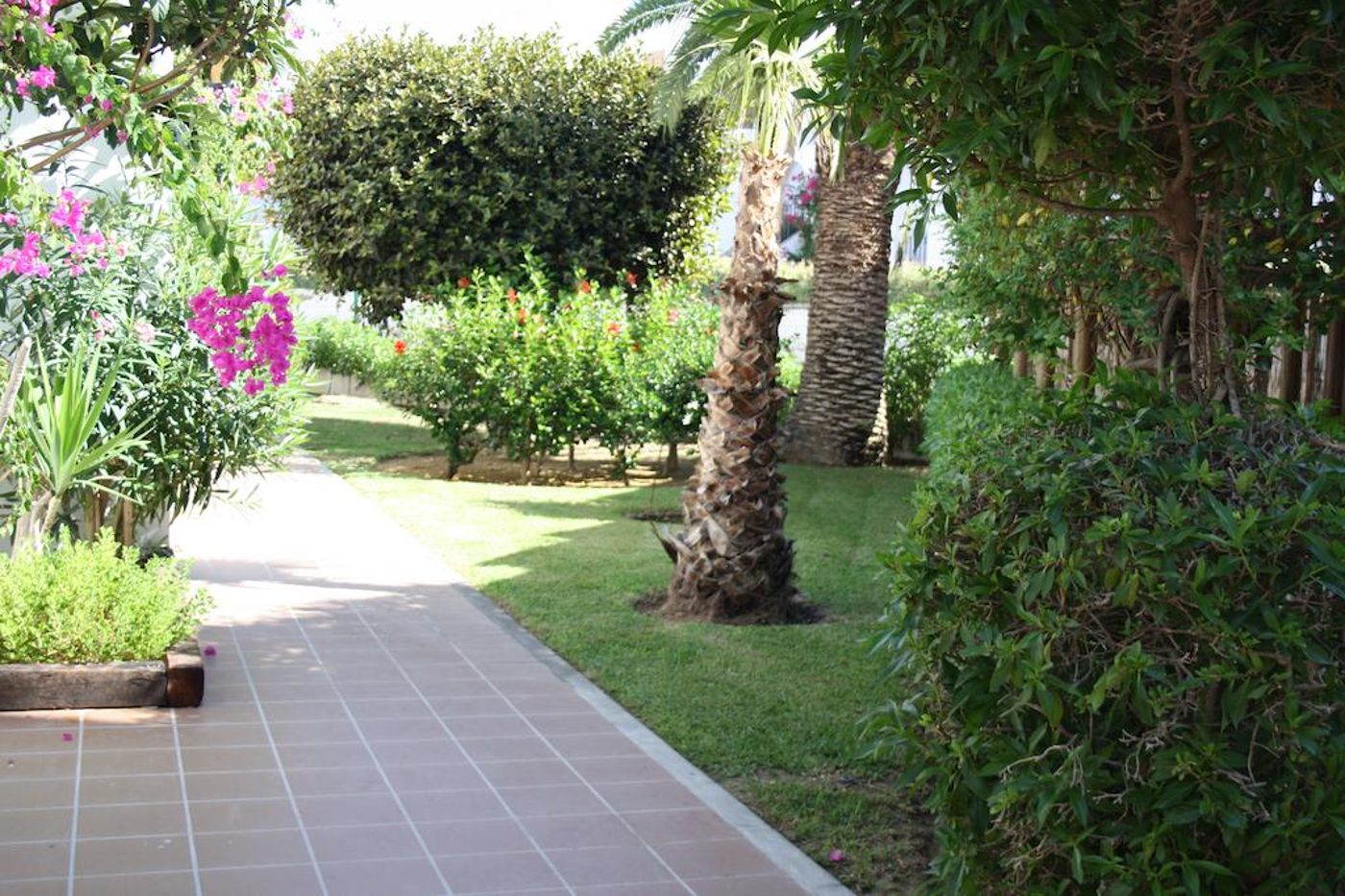 Torrelaguna-General-view-12