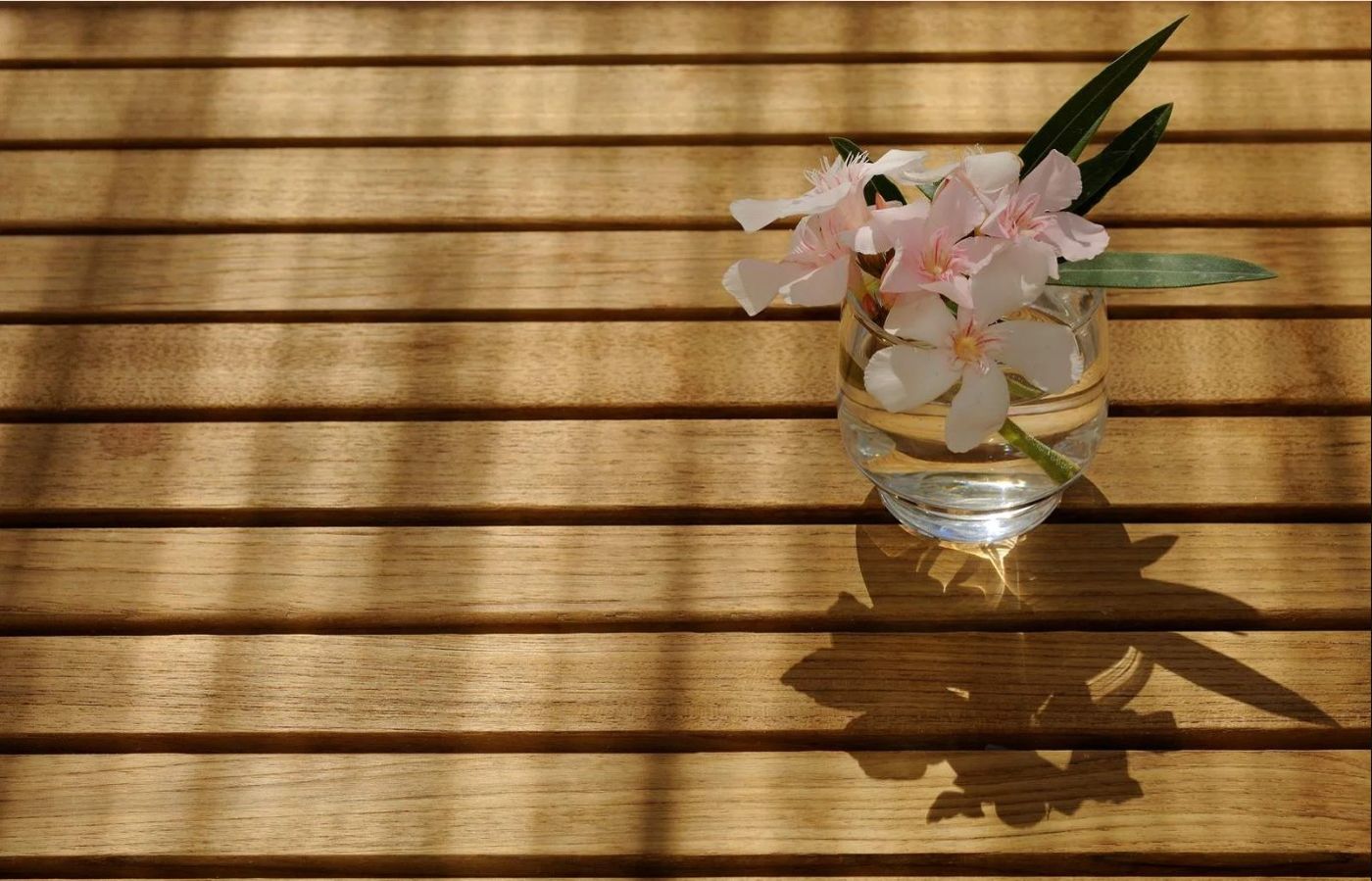 Hotel-Osejava-Terrace-23