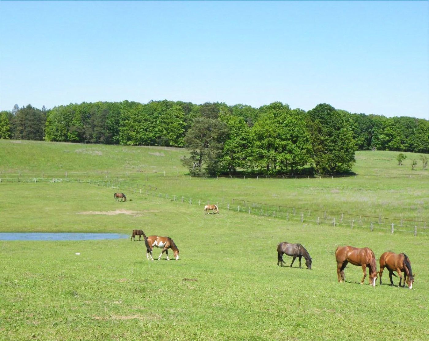 Gut Sarnow-Germany-SCHORFHEIDE-Sports and Entertainment-2