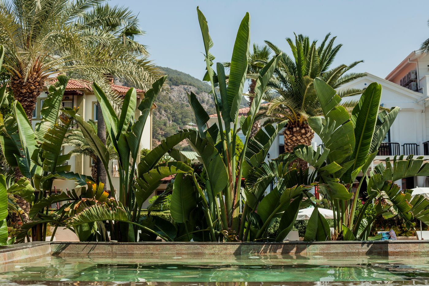 Hotel-Karbel-Sun-Pool-8