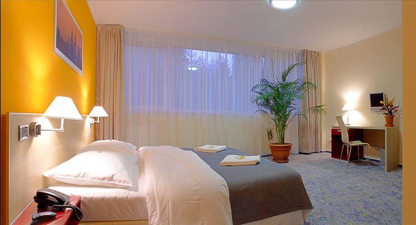 Michael - Czech Republic - PRAGUE - General view - 1