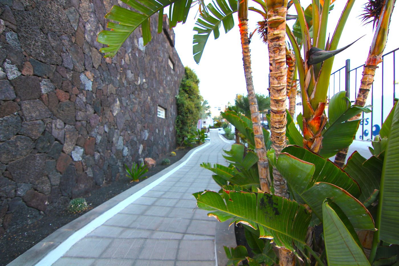 Arena-Dorada-General-view-10