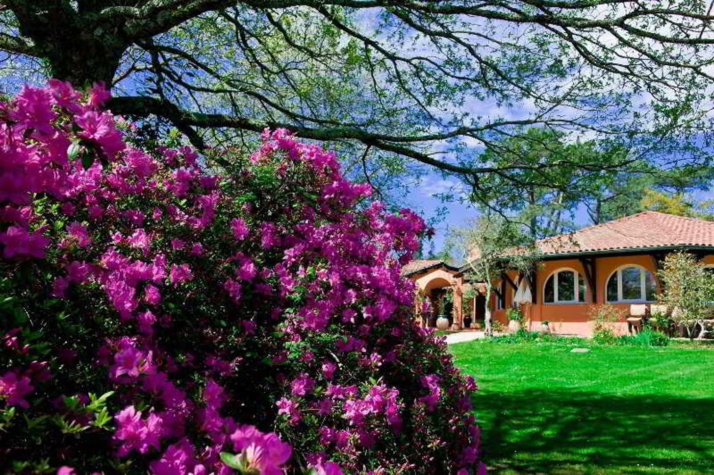 Les Frères Ibarboure, The Originals Collection-France-BIDART-General view-2