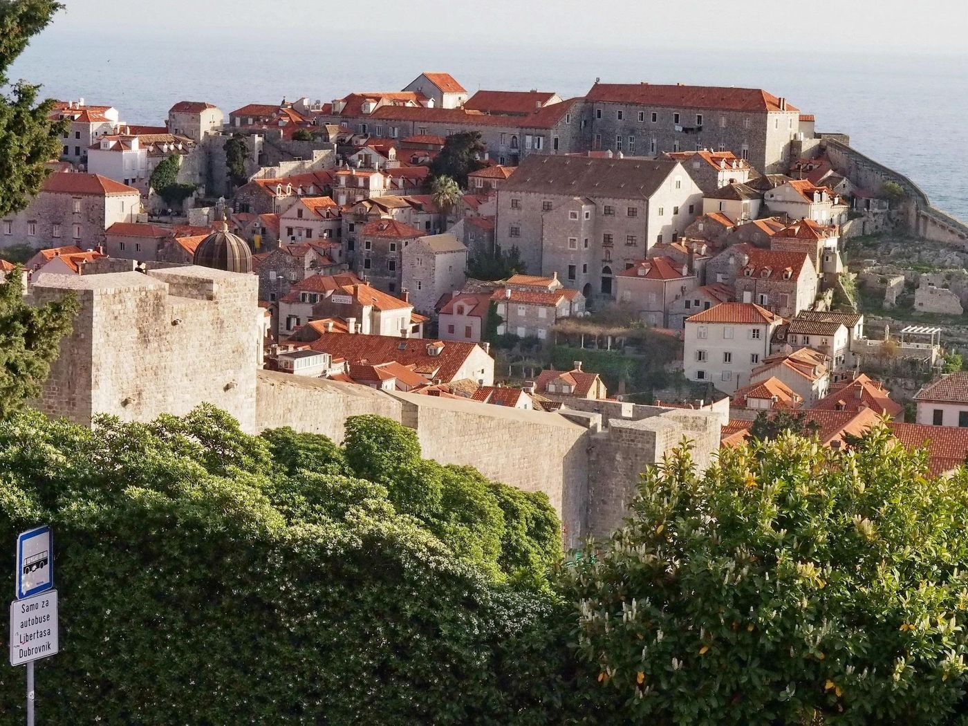 Apartments Ivušić-Croatia-DUBROVNIK-General view-2