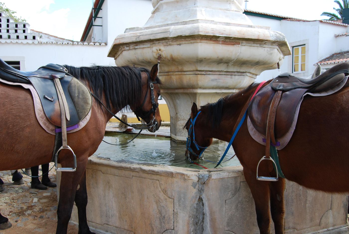 Rural-Quinta-de-Santo-Antonio-Sports-and-Entertainment-13