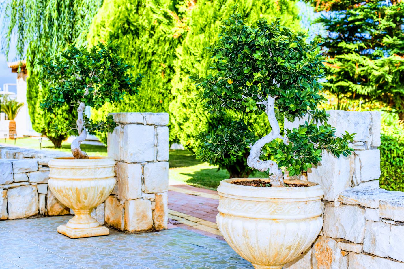 Yiannis-Manos-Apartments-General-view-40