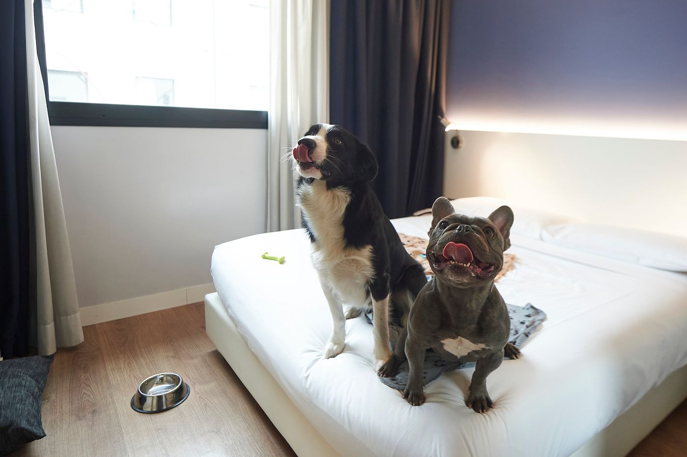 Neo-Hotel-General-view-38