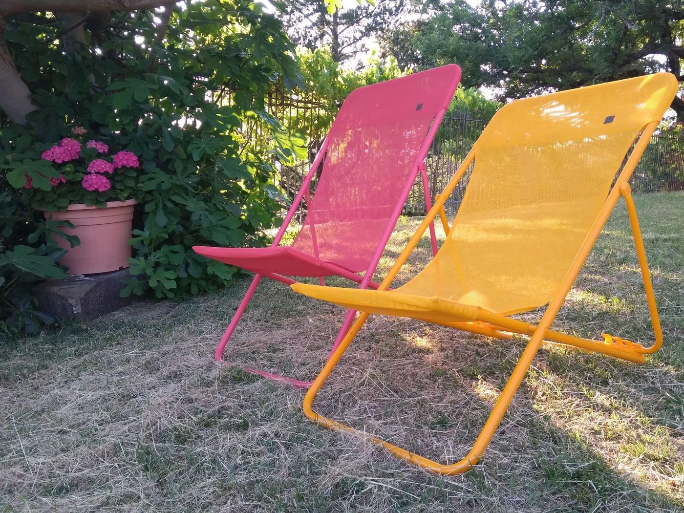 Bed-And-Breakfast-Country-Hill-General-view-10