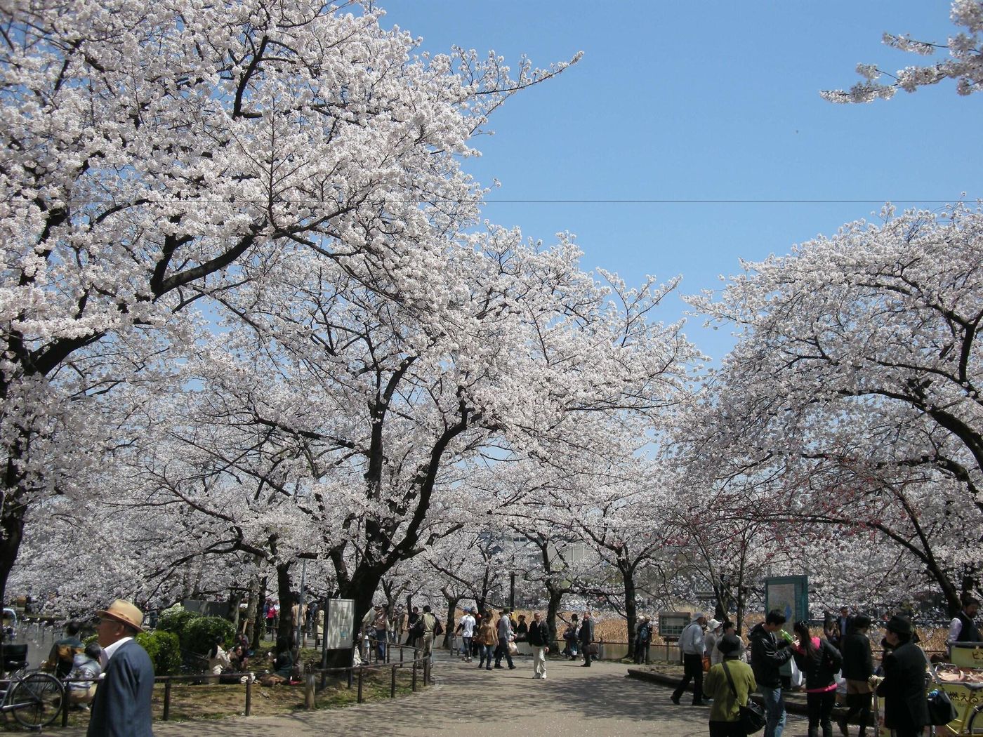 Ueno Terminal Hotel-Japan-Tokyo-General view-3