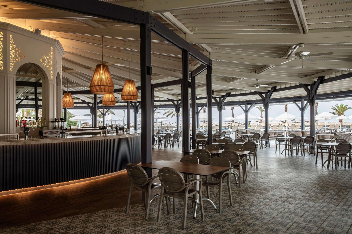 Papillon-Belvil-Bar-62