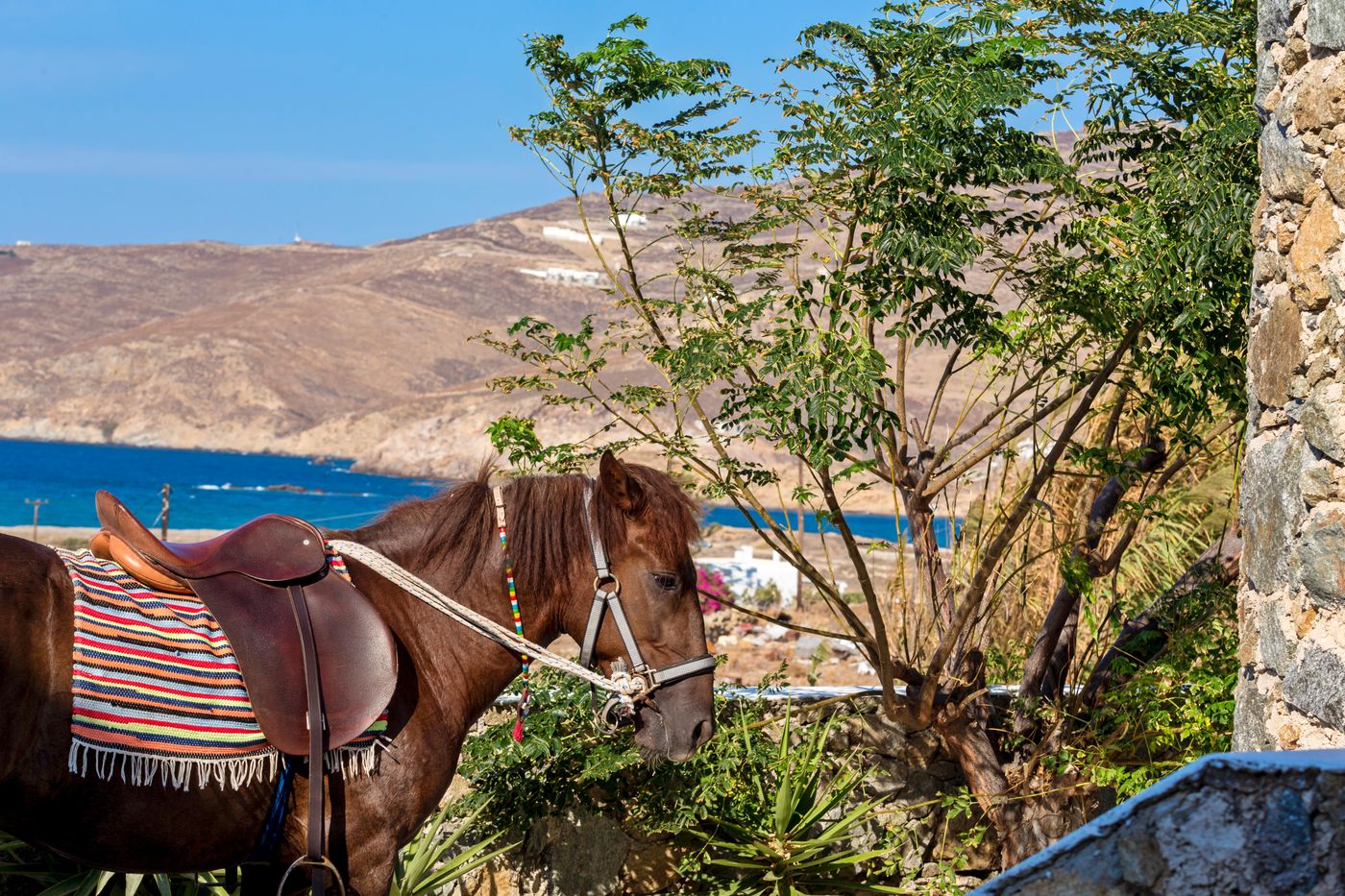 Terra-Maltese-Beach-69