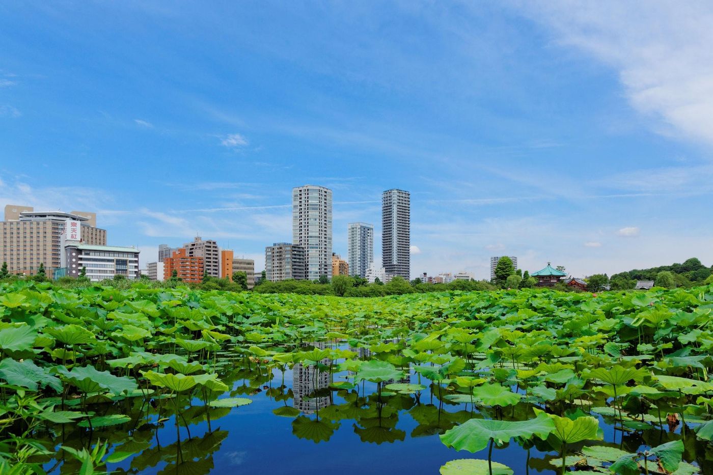 Dormy Inn Ueno Okachimachi-Japan-Tokyo-General view-2