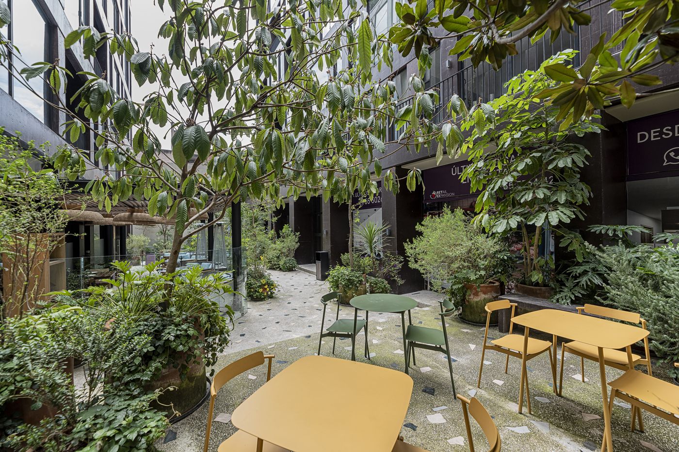 Cuadra 134 Residencial-Mexico-Ciudad de México-General view-7