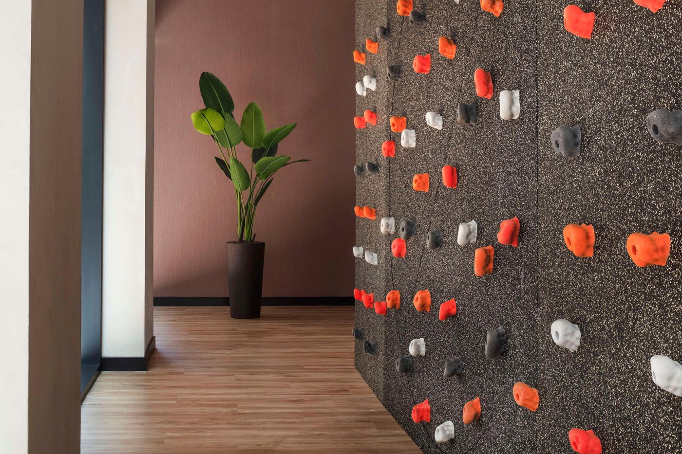 Anantara-Grand-Hotel-Krasnapolsky-Amsterdam-Sports-and-Entertainment-78