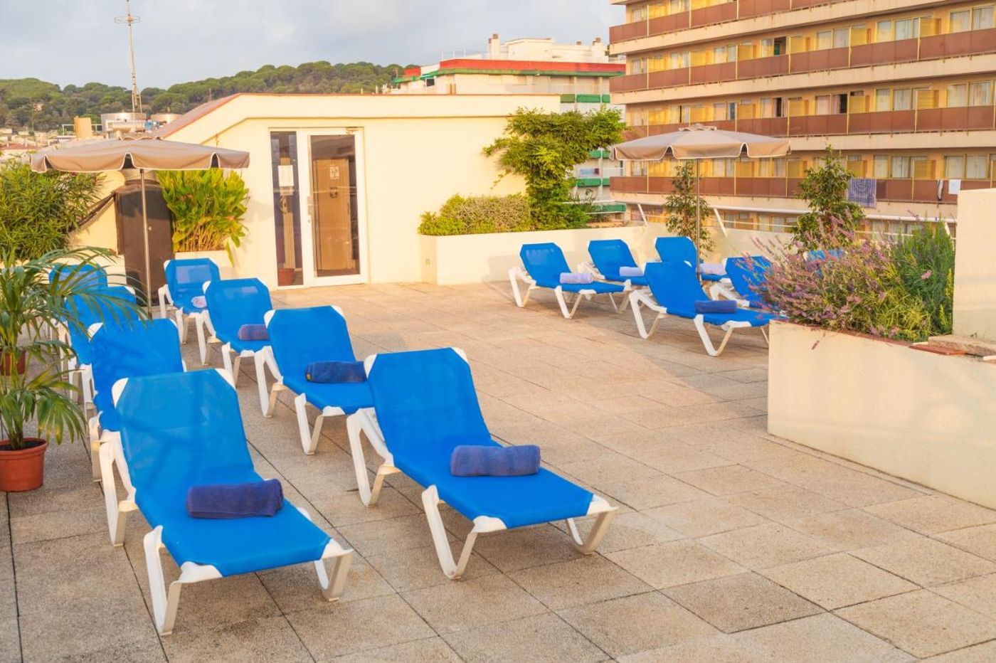 Les-Palmeres-Terrace-12