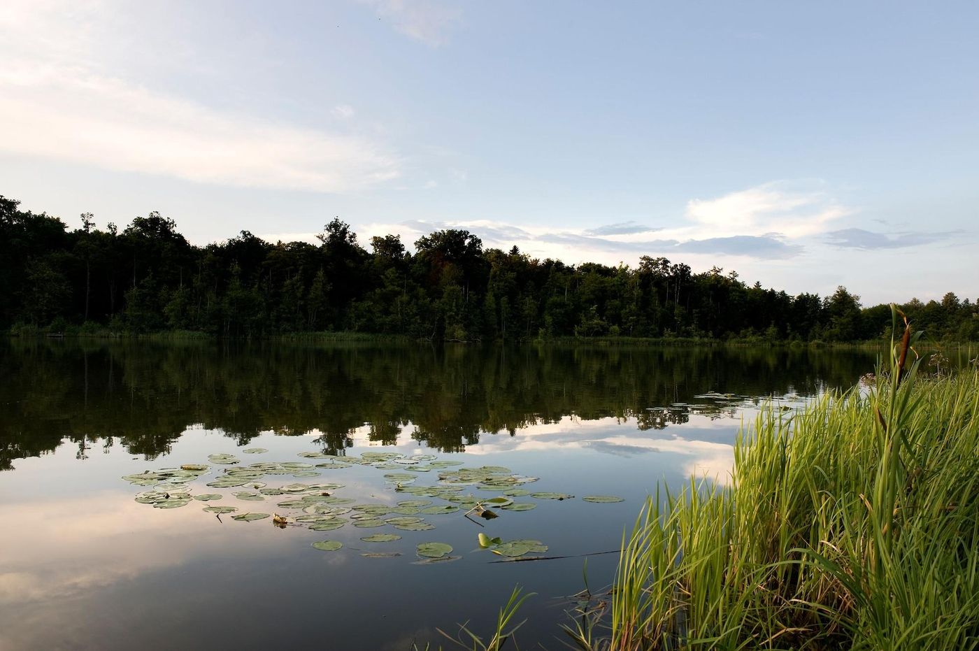 Landgut-Stober-Sports-and-Entertainment-36