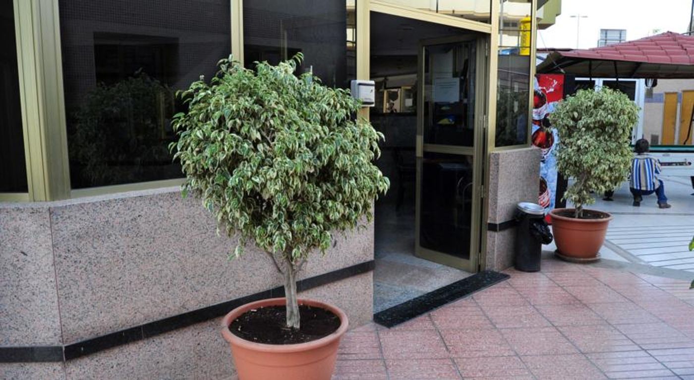 Roque-Nublo-Lobby-11