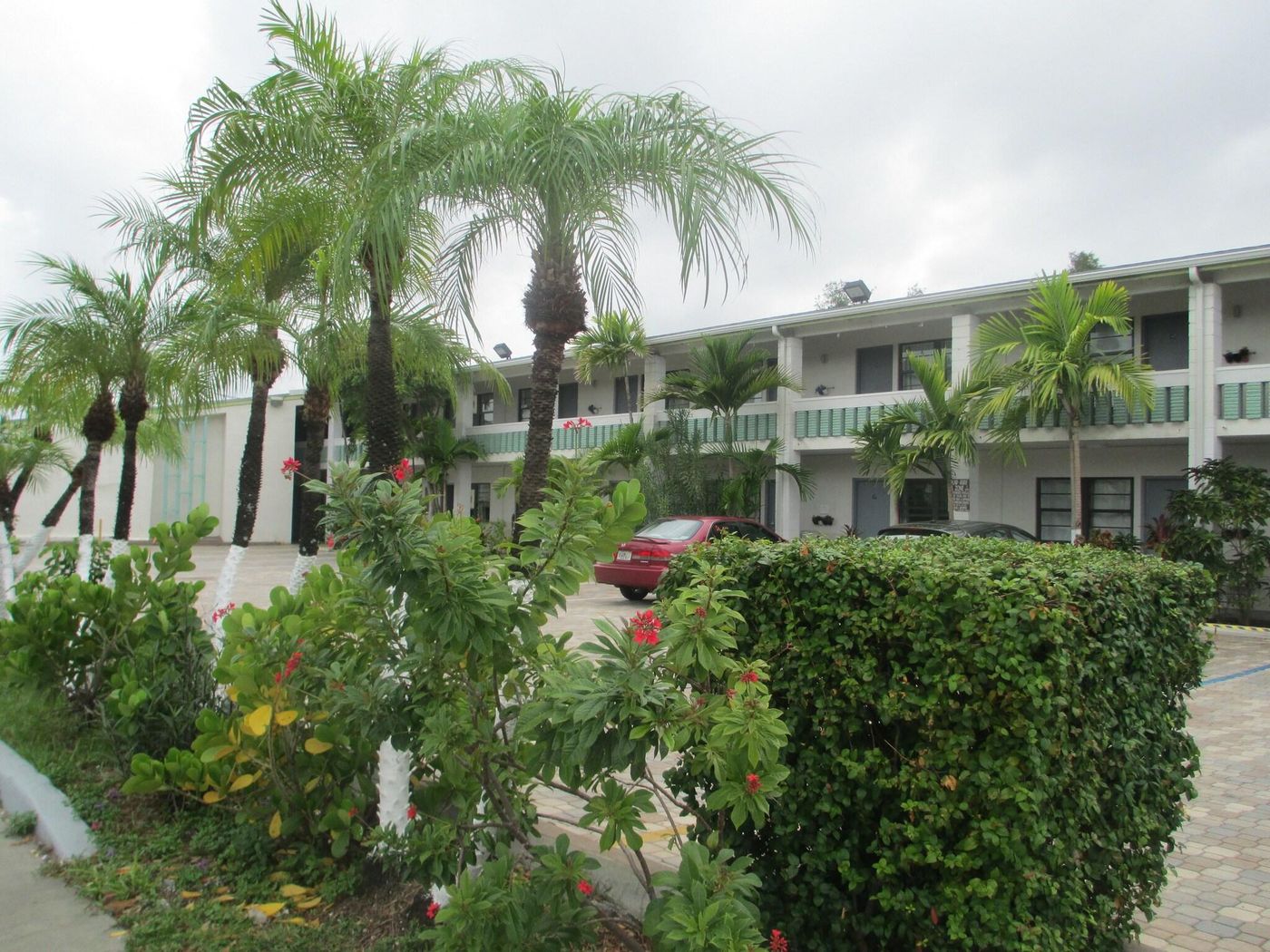 Shalimar Motel - United States - MIAMI - General view - 9