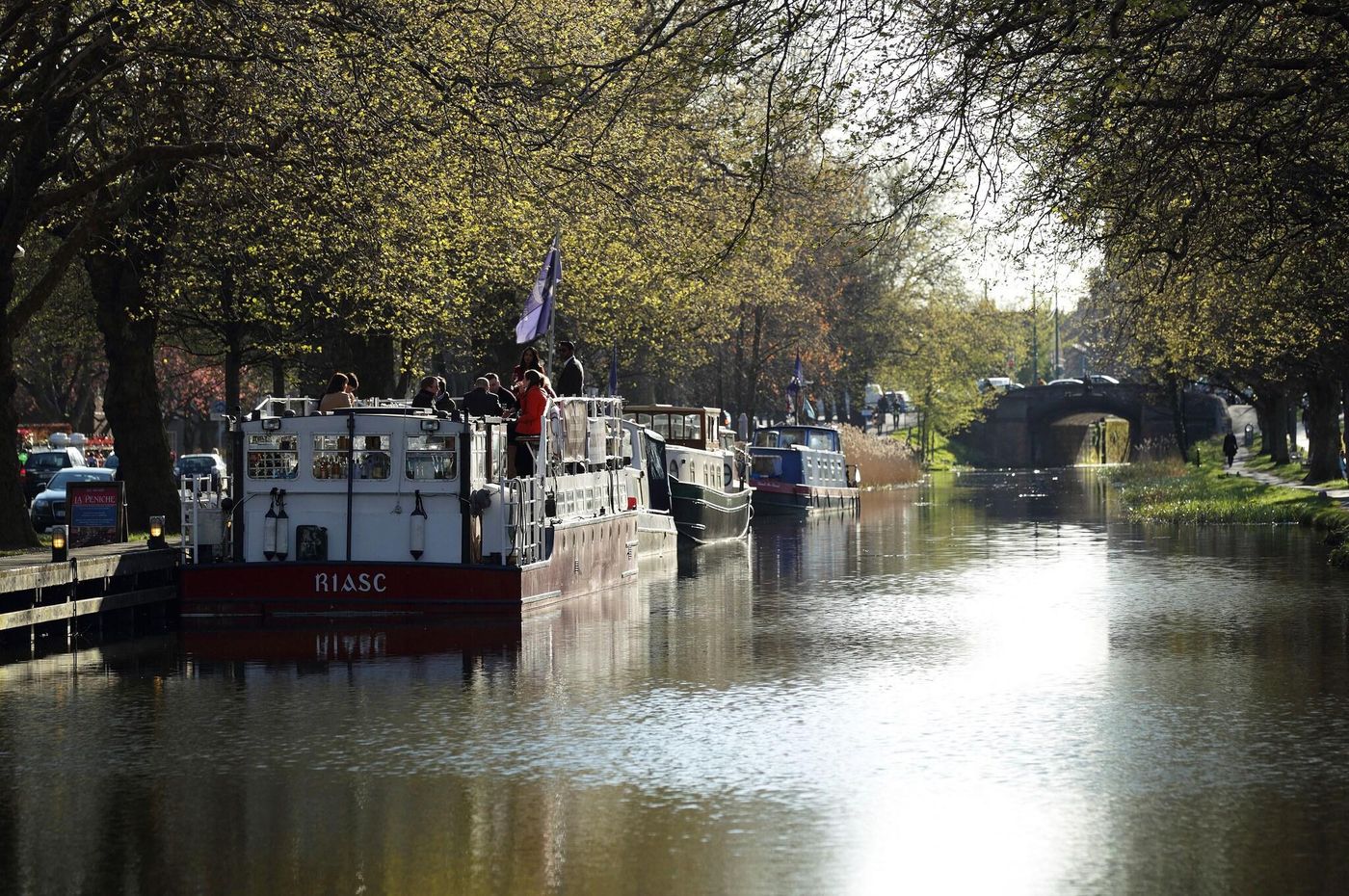 Mespil-General-view-48