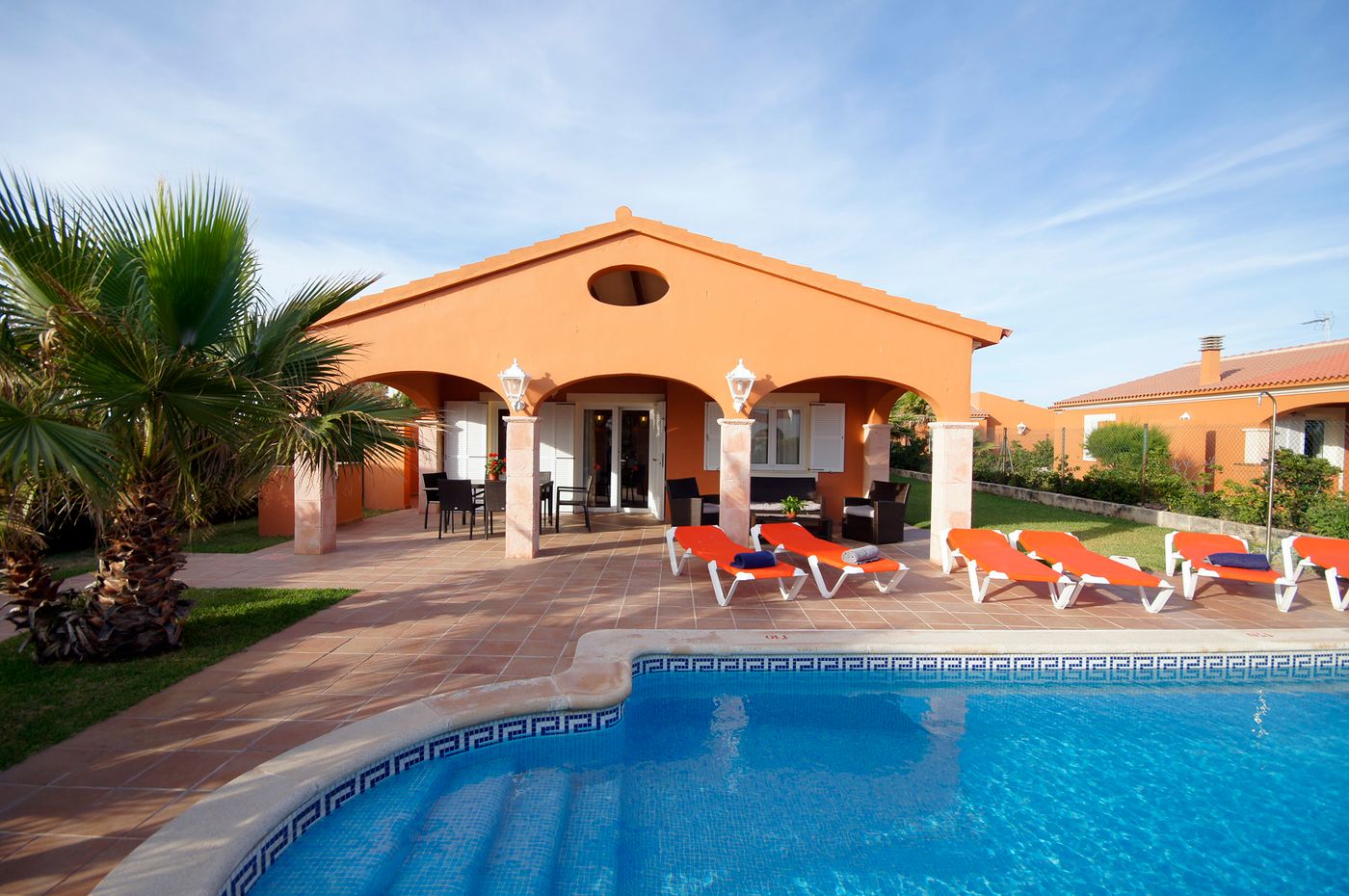 Begonias-General-view-2