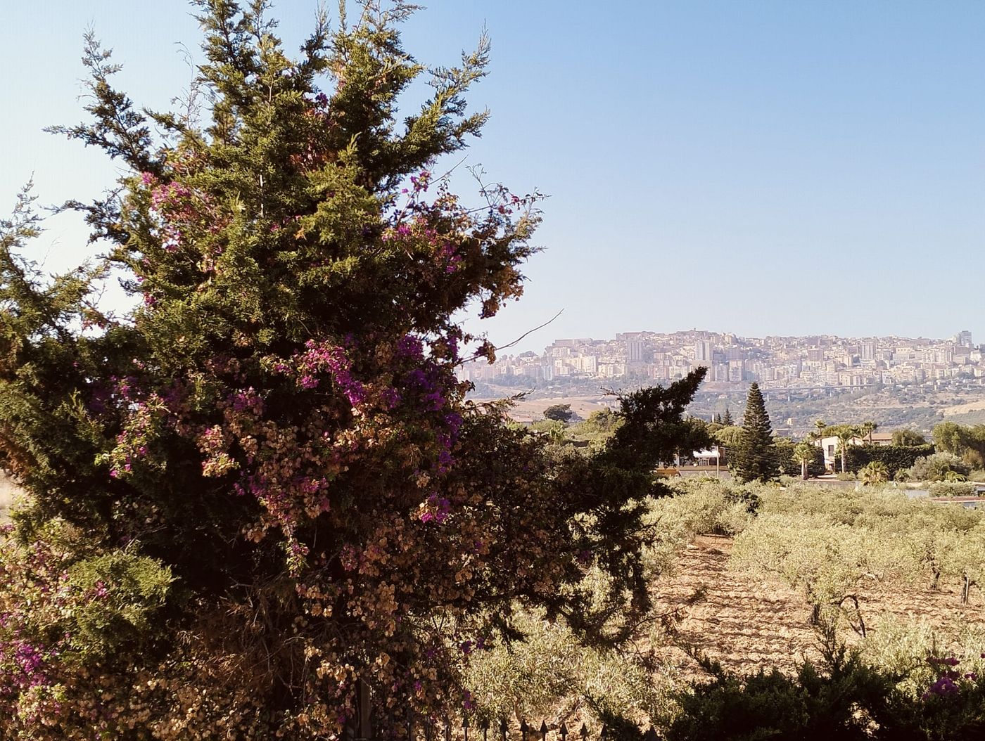 Hotel-Foresteria-Baglio-della-Luna-Room-69