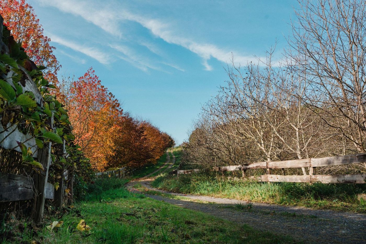 Posada Somavilla-Spain-RIBAMONTAN AL MAR-General view-9