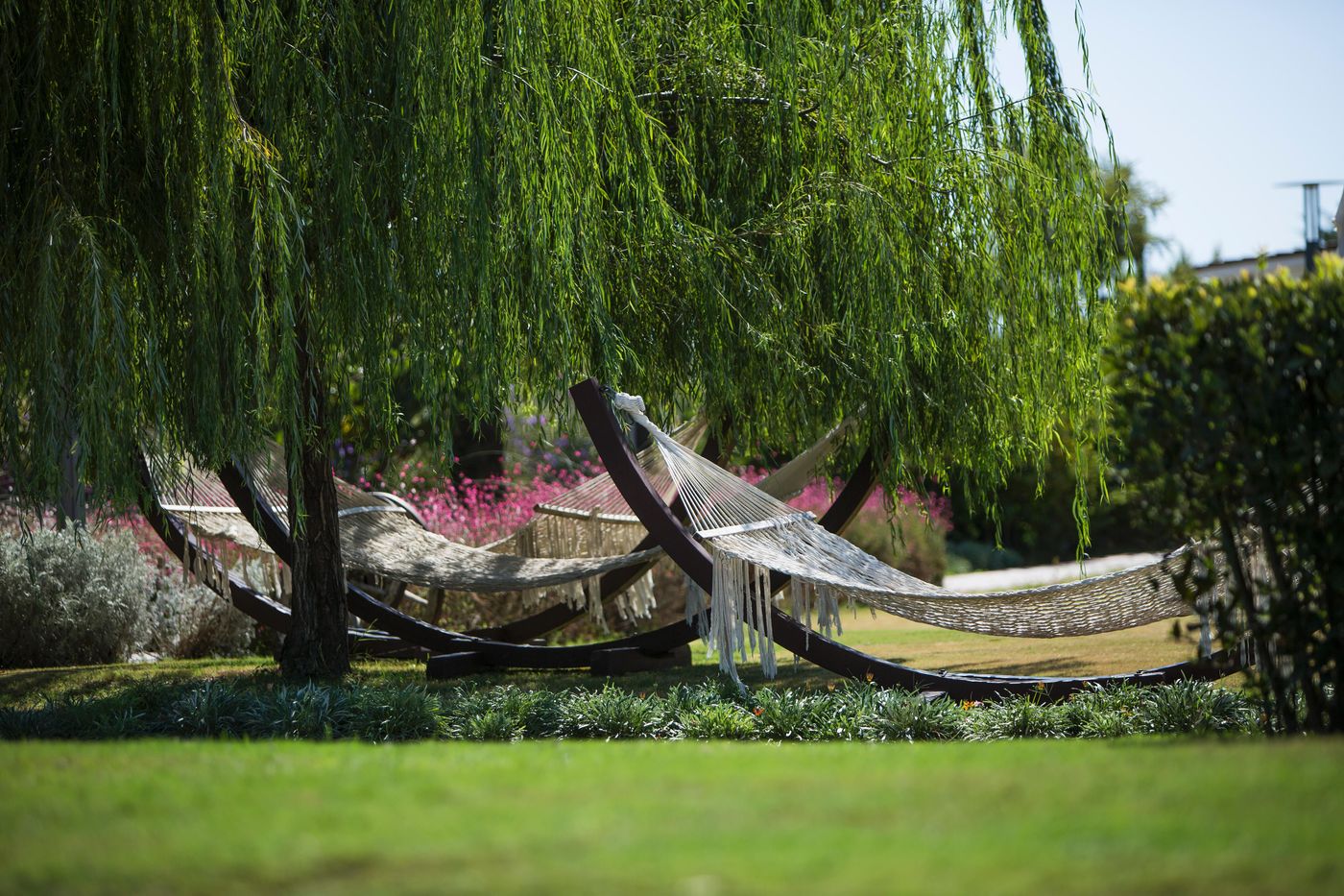 TUI-Blue-Xanthe-General-view-25